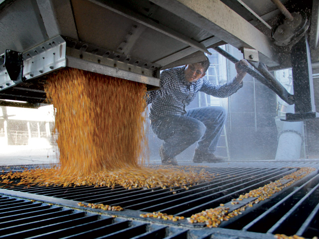 Some grain operations prefer to pay hourly wages to motivate workers during peak demands like harvest and planting. (DTN/The Progressive Farmer file photo)